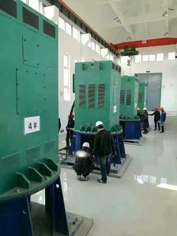 YKK4503-2GJ某污水处理厂使用我厂的立式高压电机安装现场