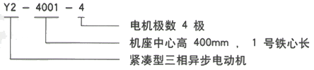 YR系列(H355-1000)高压YKK4503-2GJ三相异步电机西安西玛电机型号说明